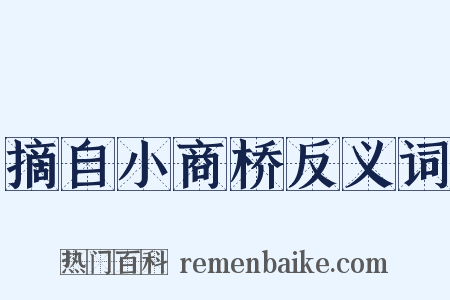 摘自小商桥反义词是什么意思的图片